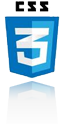 css3